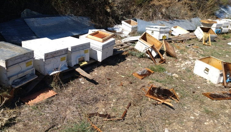 Ayılar 75 kovan balı yedi