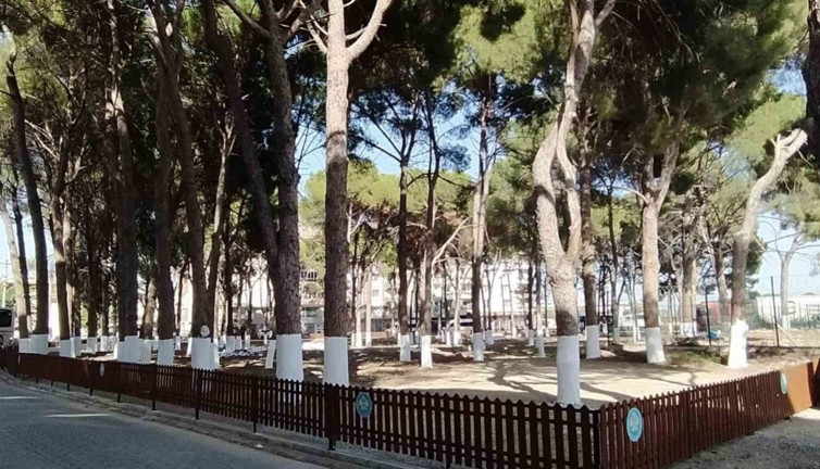 Büyükşehir tescilli tarihi Muradiye Mezarlığı’na sahip çıktı