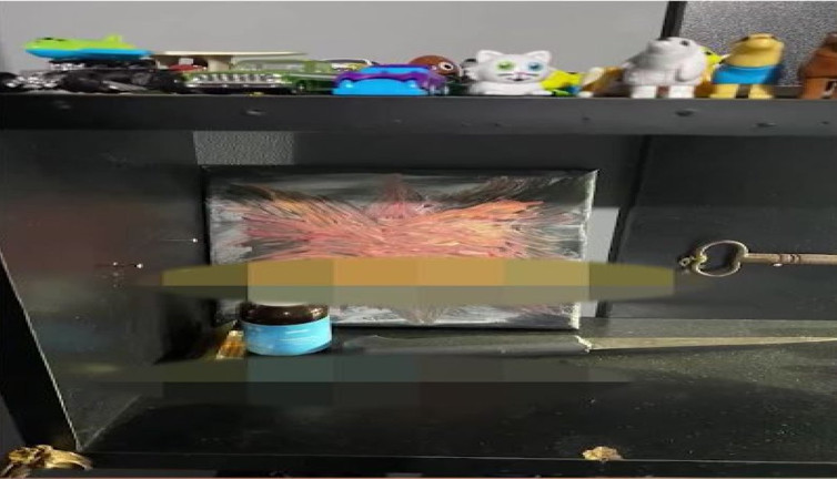 İki kadını katleden Semih Çelik’in odasından bıçak çıktı. Cinayeti önceden tasarlamış