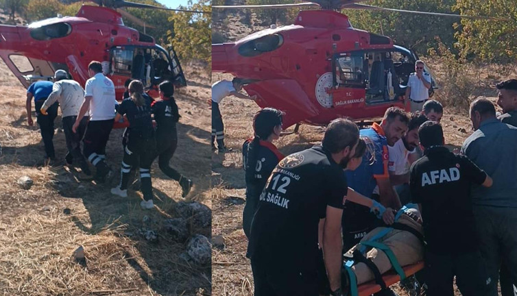 Ekipler ağaçtan düşen Efe, için seferber oldular