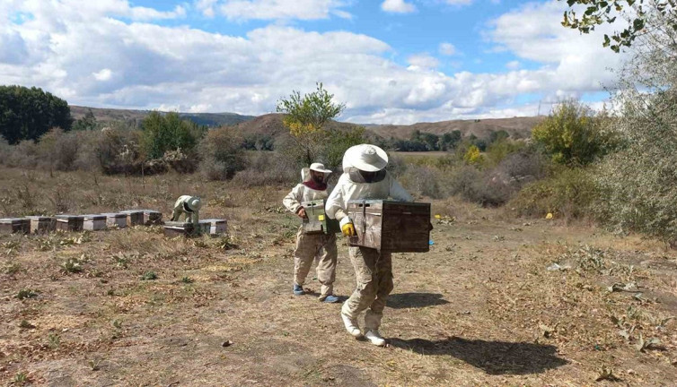 Arıcıların göç mesaisi başladı