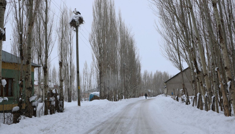 Leylekler Hakari Yüksekova'yı mesken tuttu! Karla birlikte muhteşem görüntüler ortaya çıktı