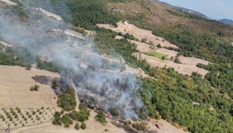 Manisa'da orman yangını (10 Ekim 2024)