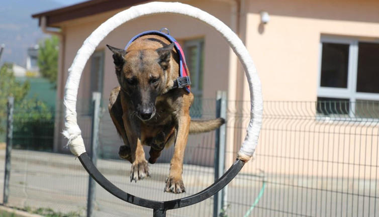 Suçluların kabusu! Daima göreve hazır