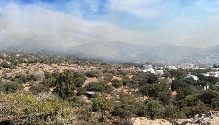 Bodrum’da maki yangını! 5 hektar alan zarar gördü