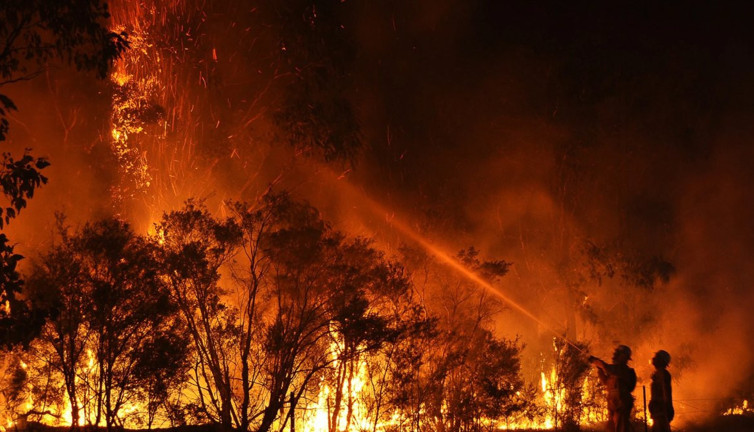 Orman yangınları karbon salınımını artırıyor