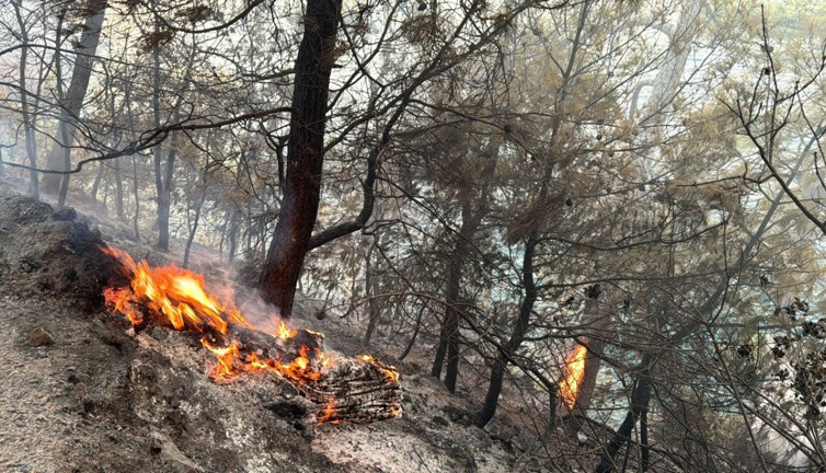 Dalaman'da çıkan orman yangını söndürüldü