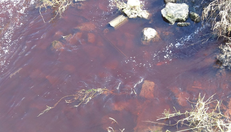 Bursa Ovası'nı besleyen dere kırmızıya büründü