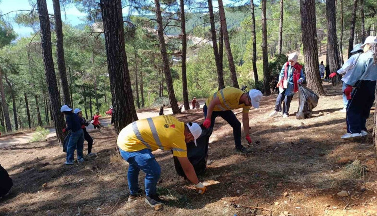 Kahramanmaraş’ta ormanlar temizleniyor