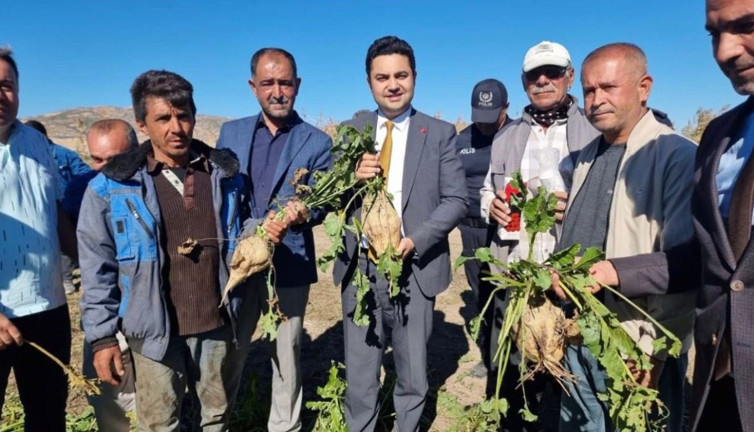 Kaymakam şeker pancarı hasadına katıldı