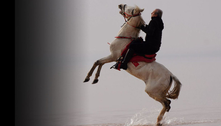Devletin kurumunu çiftliğe çevirip talim yapmıştı! Atıyla şaha kalktı yönettiği bakanlık dibe battı
