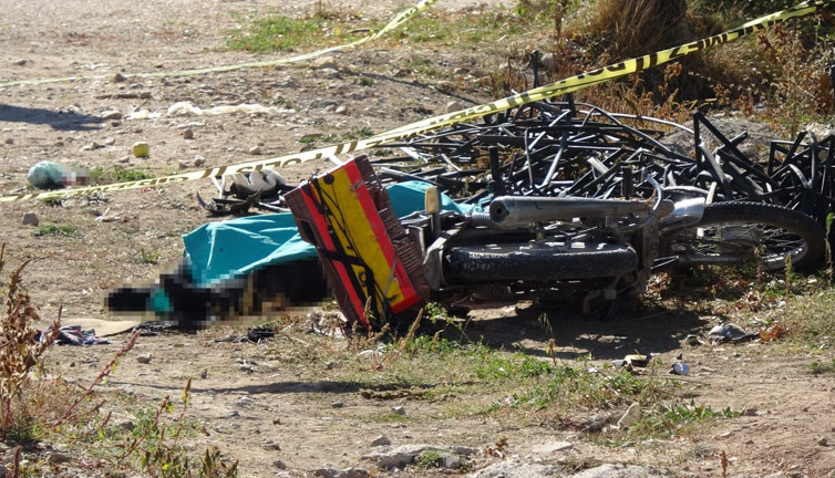 Kediye çarptı canından oldu