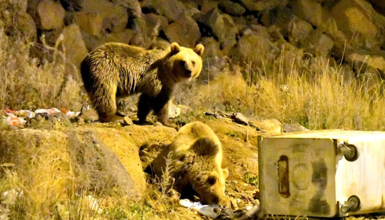 Bozayılar ilçe merkezini komşu kapısı yaptılar