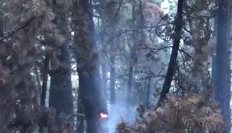Denizli’deki günlerdir süren yangın söndürüldü
