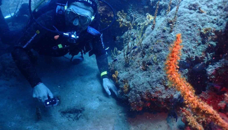 Sualtı dünyasının yeni gözdesi