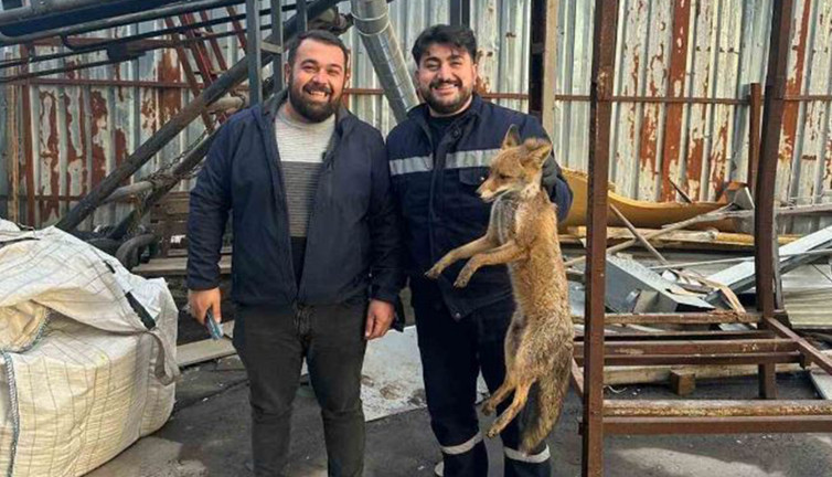 Köpeklerin saldırısına uğradı! Ekipler kurtardı