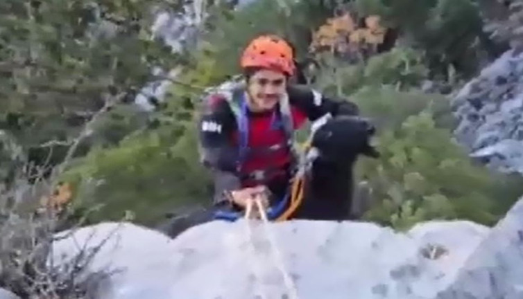 Antalya'da keçi operasyonu