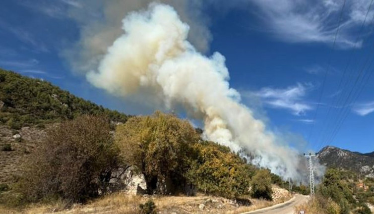 Antalya'da orman yangını (09 Kasım 2024)