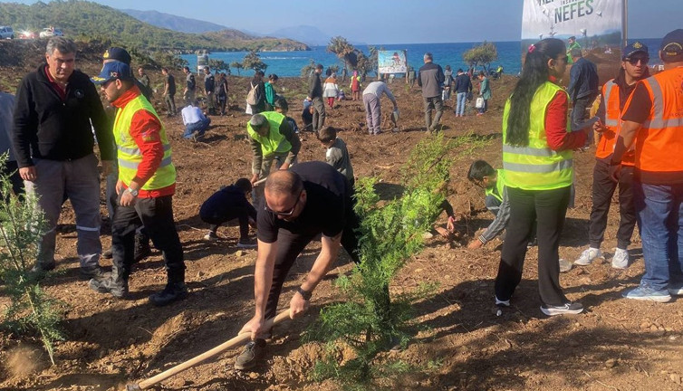 Marmaris’te 11 bin fidan dikimi