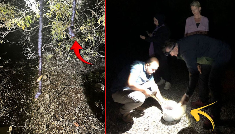 Kelebek avlayan Avusturyalı'ya binlerce lira ceza kesildi