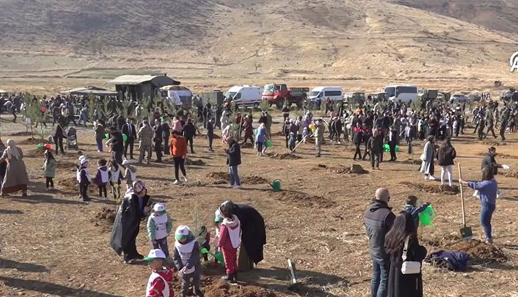 Muş'ta 11 bin fidan dikildi