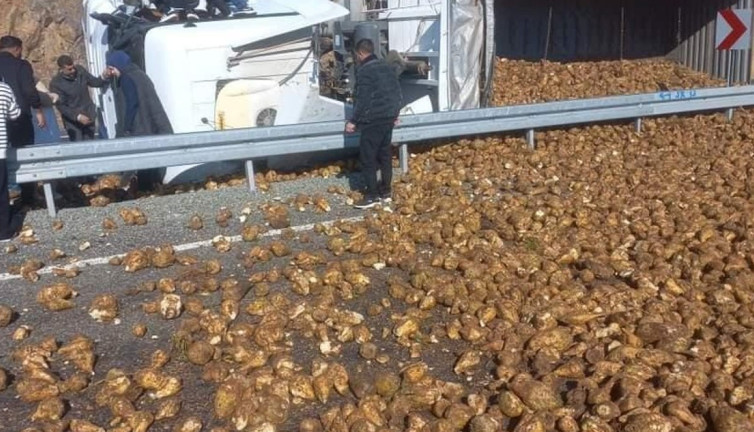 Pancar yüklü tır devrildi (14 Kasım 2024)