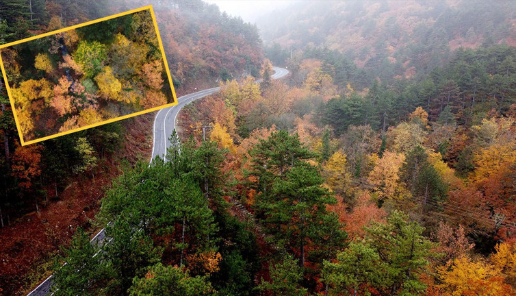 Kazdağları’nın sisler içindeki güz renkleri görenleri büyüledi