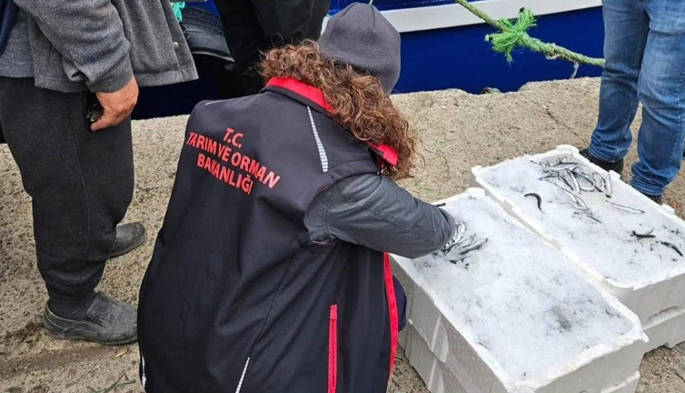 Sinop'da hamsi avcılığı denetimleri arttırıldı