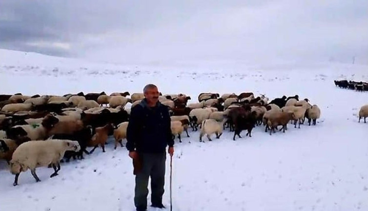 Kar yağışı besicileri vurdu