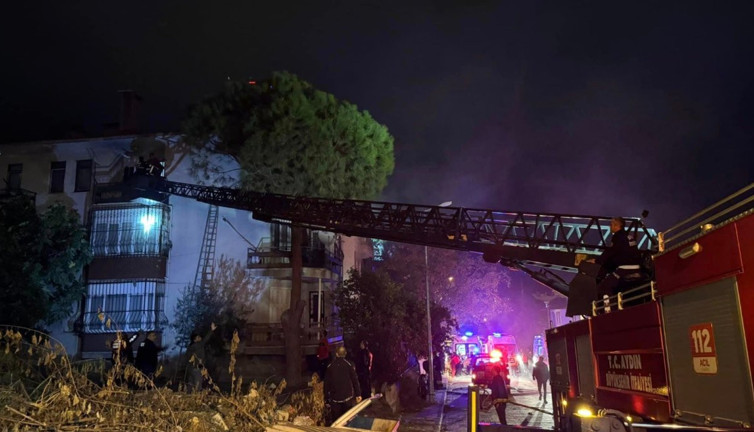 Fön makinesi yangın çıkardı: Bir kedi ve kuş telef oldu