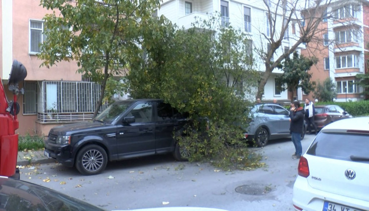 Şiddetli lodos Bakırköy'de 2 aracın üzerine ağaç devirdi