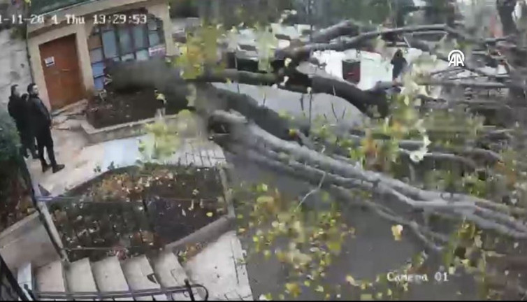 İstanbul'da faciadan dönüldü! Hz. Yuşa Türbesi'nin avlusundaki asırlık ağaç devrildi