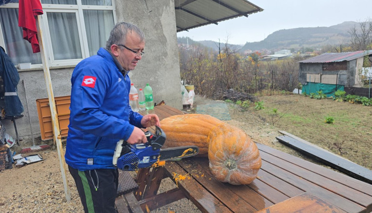 Dev kabağı motorlu testereyle kesebildi