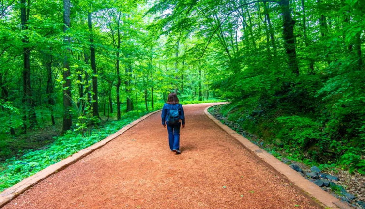 Belgrad Ormanı imara açılıyor. El atmadıkları orası kalmıştı