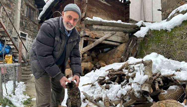 Artvin’de mahsur kalan kedileri için mücadelesi gönülleri ısıttı