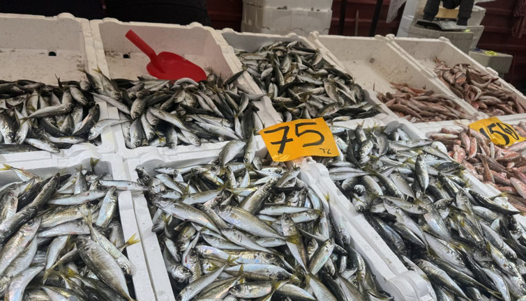 Zonguldak'ta istavrit 75 TL'ye düştü vatandaş akın etti