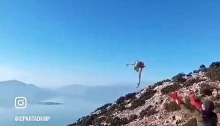 Isparta’da yaralı şahin tedavi edilip doğaya salındı