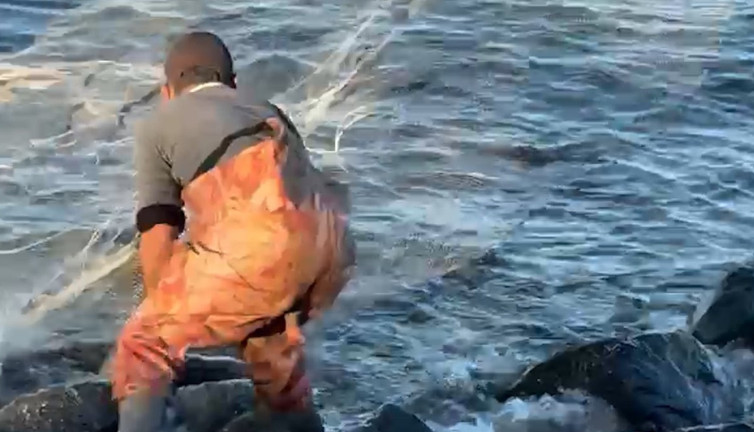 Balıklar kıyıya vurdu. Vatandaş sahile akın etti