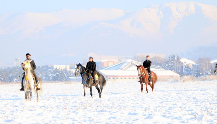 Erzurum'un karlı ovaları ‘atlı safari’ ile bütünleşti