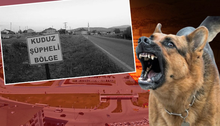 Elazığ'da kuduzdan ölüm! 9 yaşındaki Muhammed kurtarılamadı