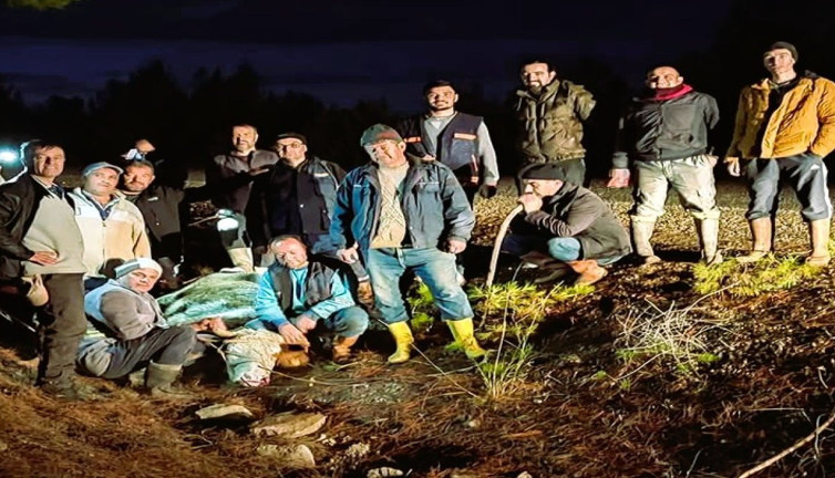 Firari düve yakalandıktan sonra kesildi