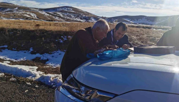 Kayseri'de yasadışı ava suçüstü