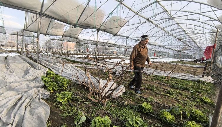 Erzurum'da kar yağışı seralara zarar verdi