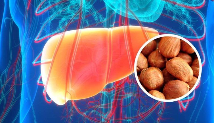 Fındık ekstresinin kanseri engellediği kanıtlandı