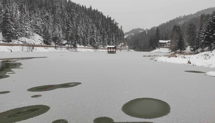 Sinop’taki Akgöl Tabiat Parkı buz tuttu