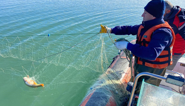 Çorum, Koçhisar Barajı’nda hayalet ağ çıktı: 4 bin metre uzunluğunda
