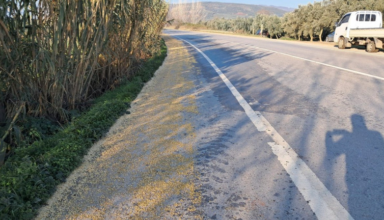 Bursa'da tonlarca fasulye yollara saçıldı
