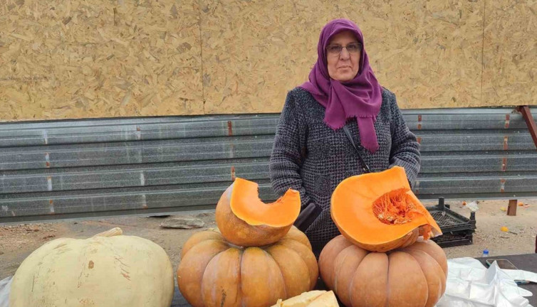 Bahçesinde ürettiği balkabağı geçim kaynağı oldu