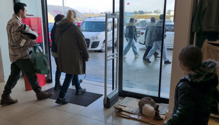 Yağmurda üşüyen köpeğe şefkat eli! İyi insanlar iyi ki varlar