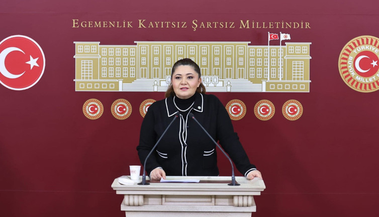 İYİ Partili Taşçı'dan Sıla bebek açıklaması: Çocuğun üstün yararı keşke daha önce gözetilseydi